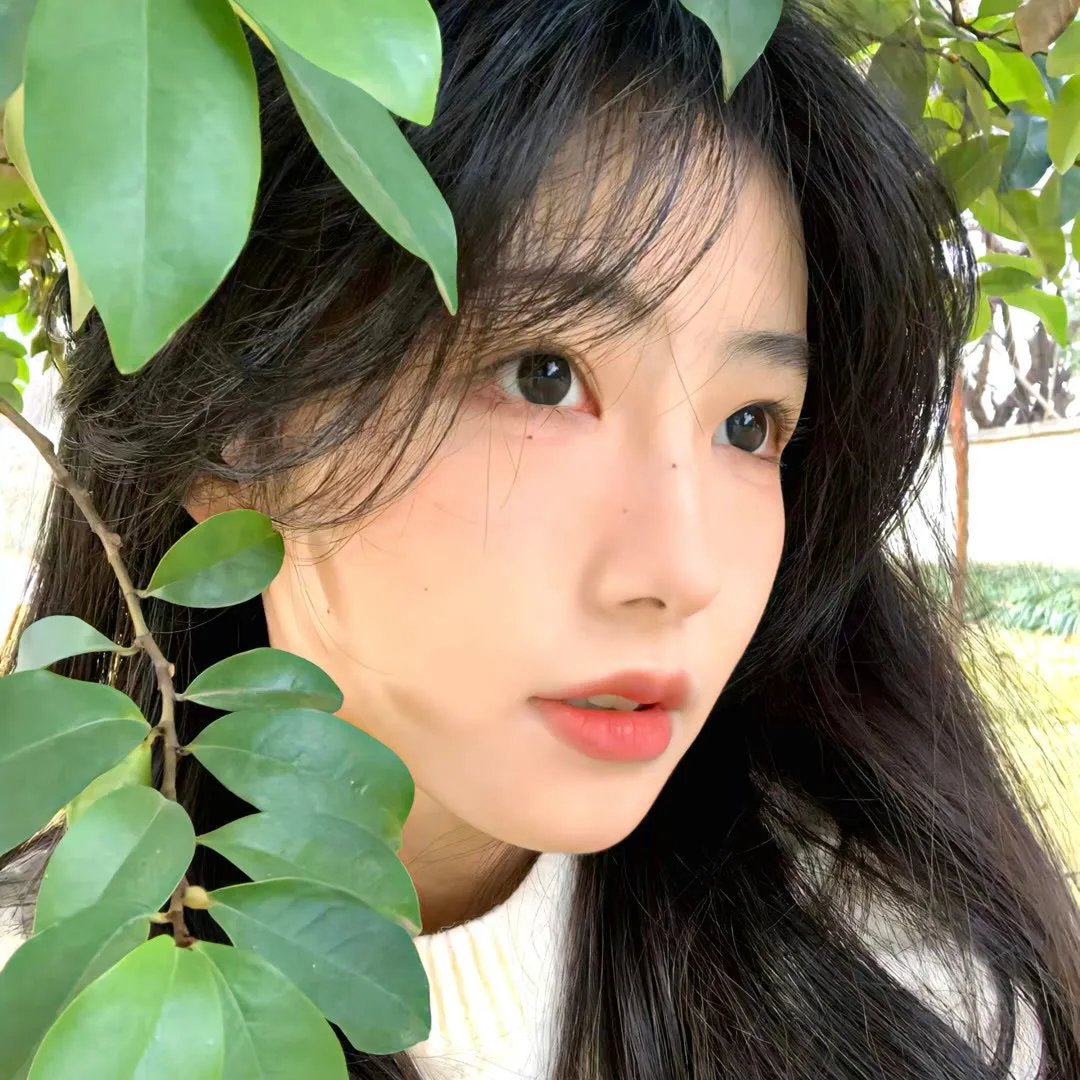 木一林的珍珠