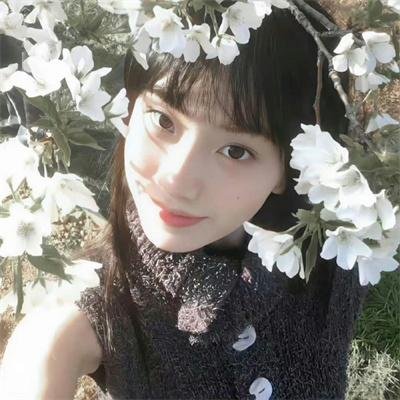 新网球王子